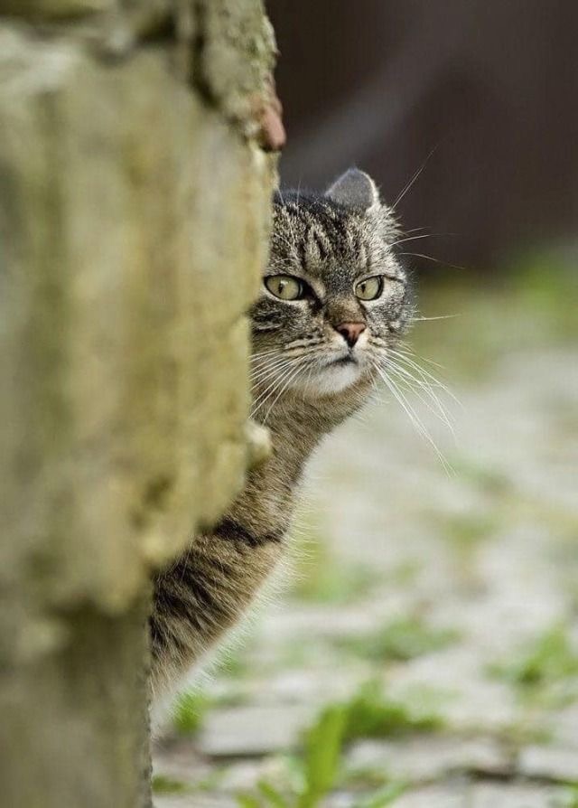 f:id:understandLove:20230805143314j:image f:id:understandLove:20230805143314j:image