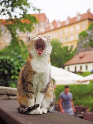 f:id:understandLove:20231104121222j:image f:id:understandLove:20231104121222j:image