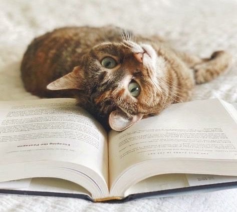 f:id:understandLove:20250719115351j:image f:id:understandLove:20250719115351j:image