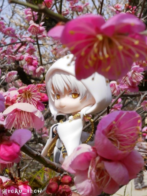 f:id:undine:20170305120120j:image:w360 f:id:undine:20170305120120j:image:w360