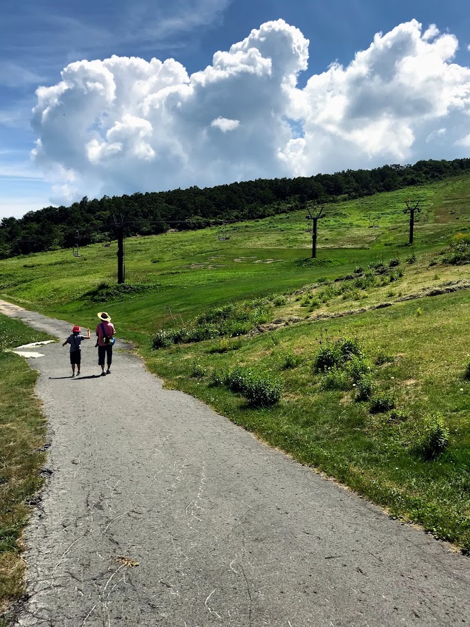 f:id:uneri-unera:20200212155015j:plain f:id:uneri-unera:20200212155015j:plain