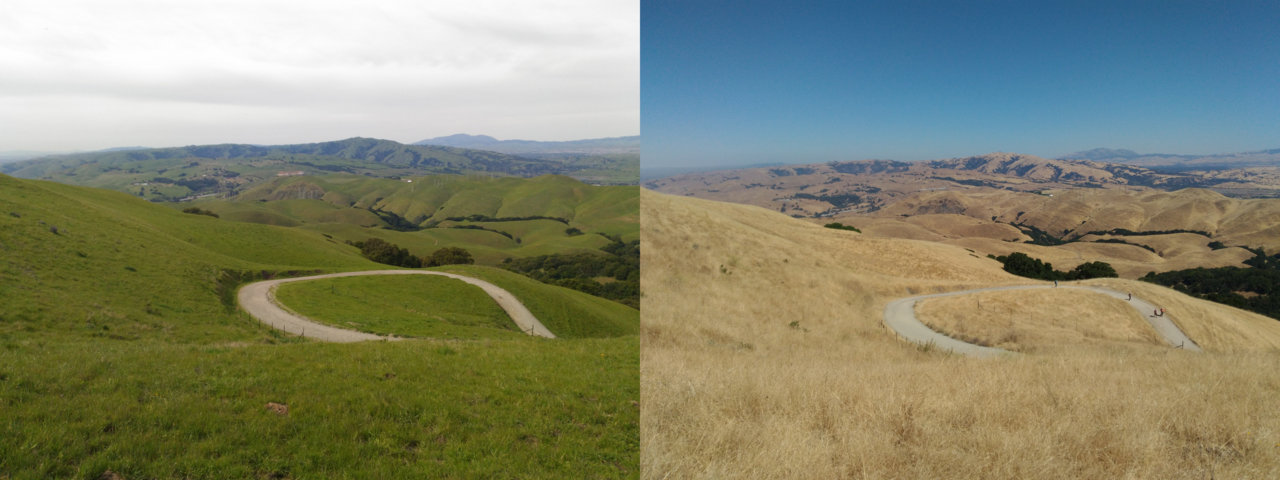 f:id:unhurried:20170721153121j:plain:w500 f:id:unhurried:20170721153121j:plain:w500