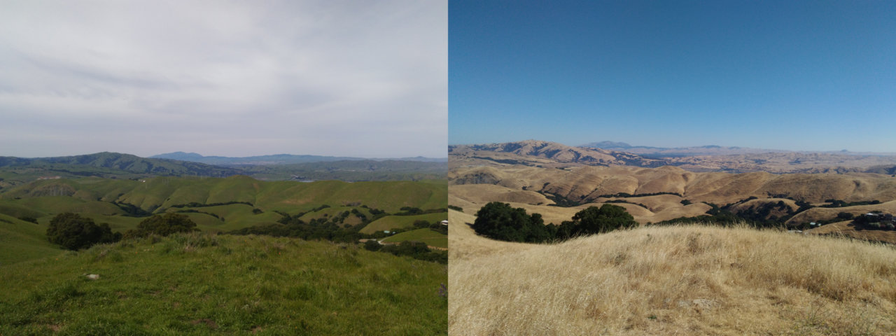 f:id:unhurried:20170721153432j:plain:w500 f:id:unhurried:20170721153432j:plain:w500