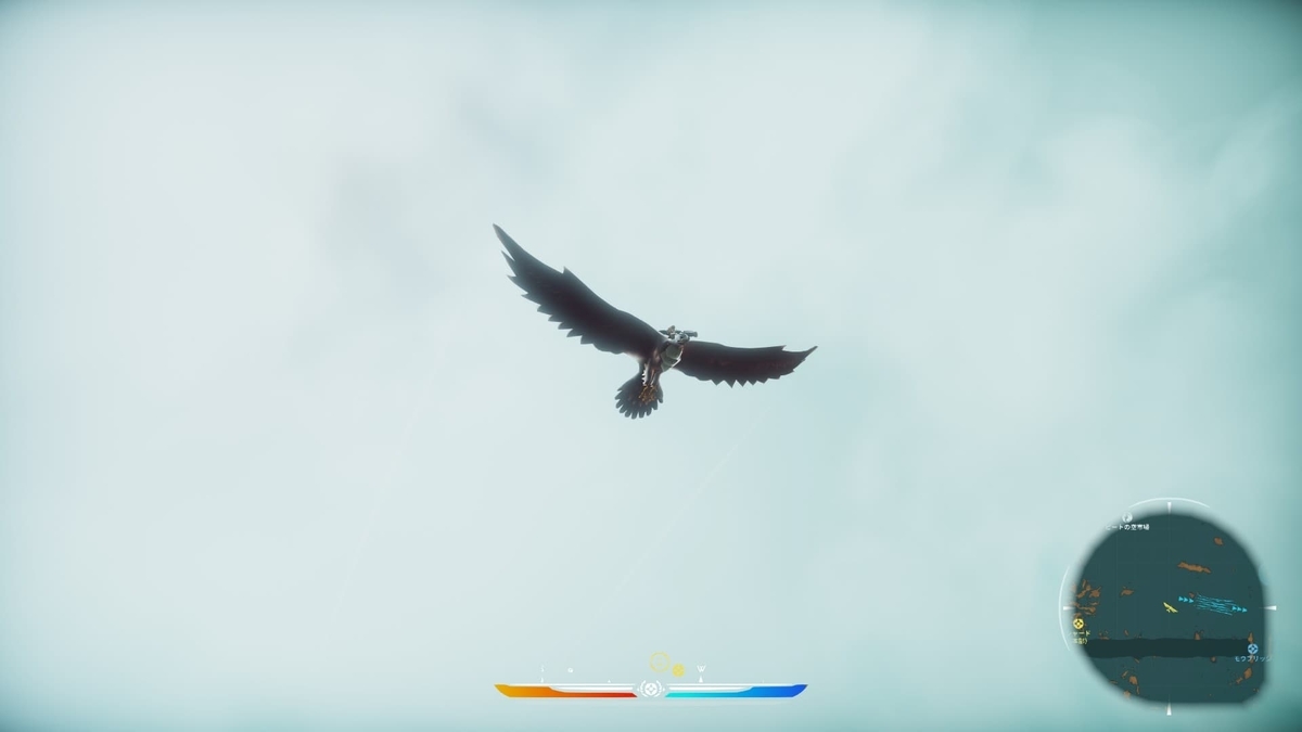 Falconeer_Flying
