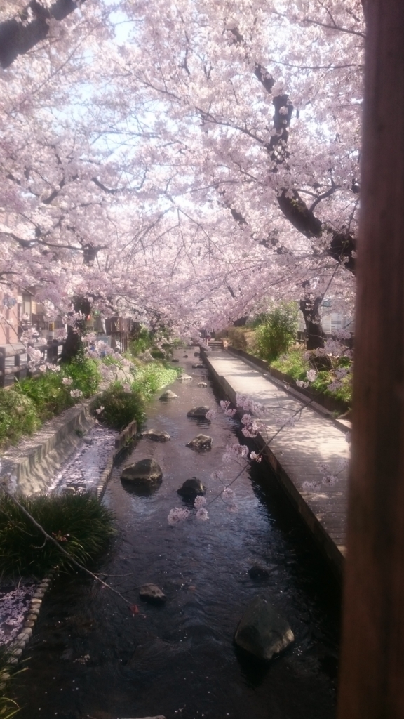 f:id:uni-namako:20180405210934j:plain