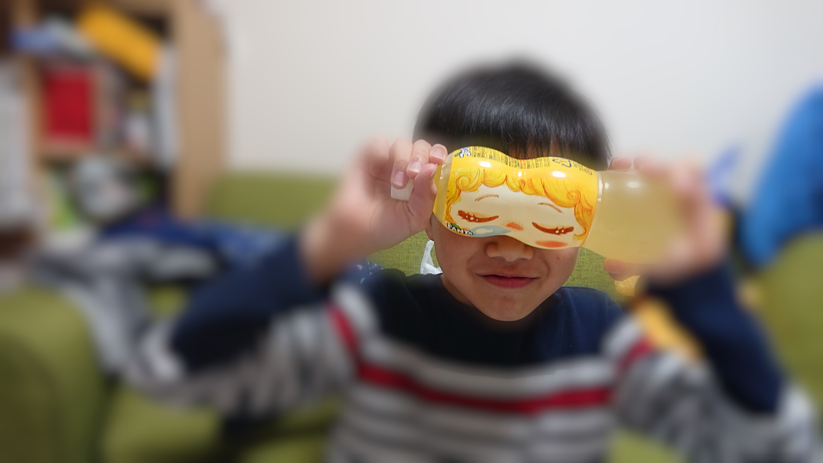 f:id:uni-namako:20190608182213j:plain