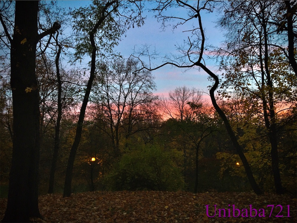 f:id:unibaba721:20211106162556j:image f:id:unibaba721:20211106162556j:image