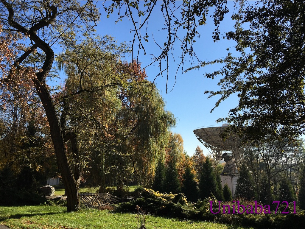 f:id:unibaba721:20211106162605j:image f:id:unibaba721:20211106162605j:image