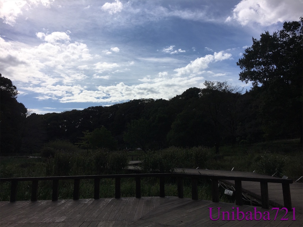 f:id:unibaba721:20211106162616j:image f:id:unibaba721:20211106162616j:image