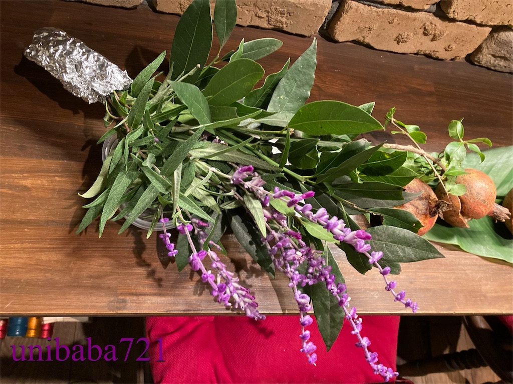 f:id:unibaba721:20221110222405j:image f:id:unibaba721:20221110222405j:image