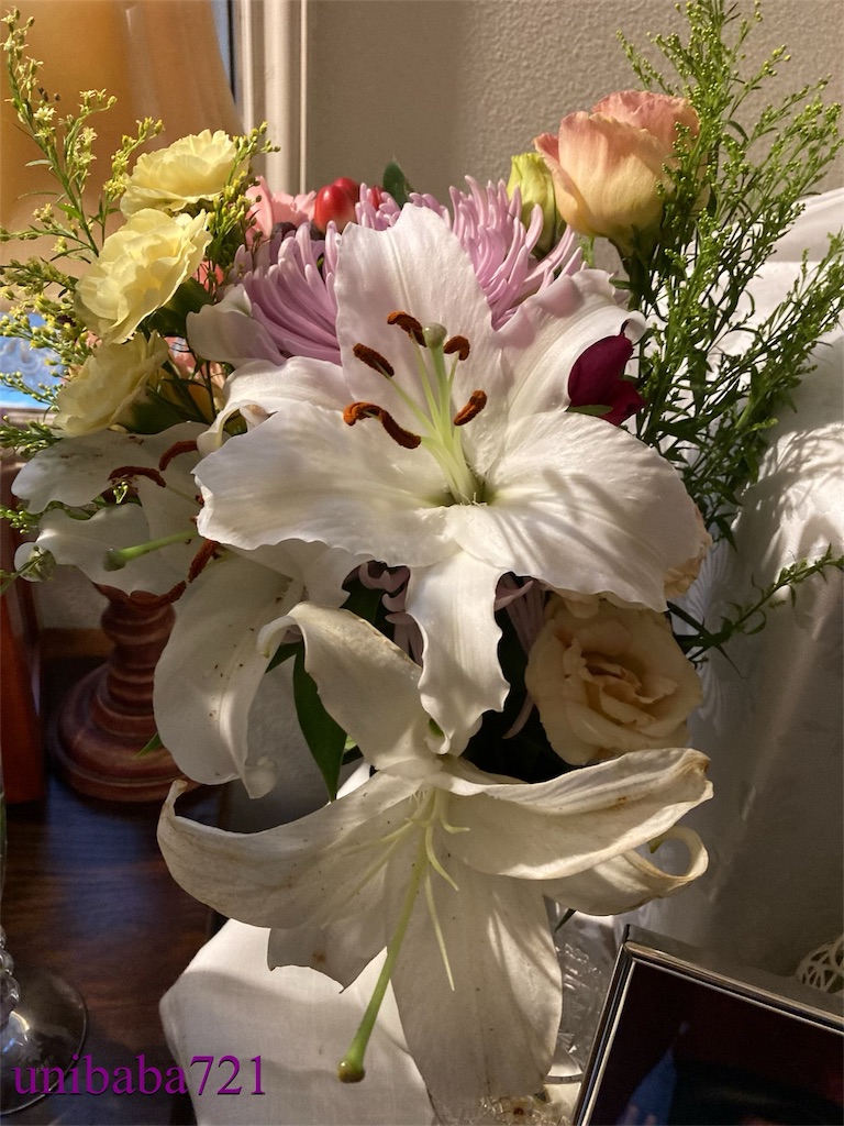 f:id:unibaba721:20221126210518j:image f:id:unibaba721:20221126210518j:image