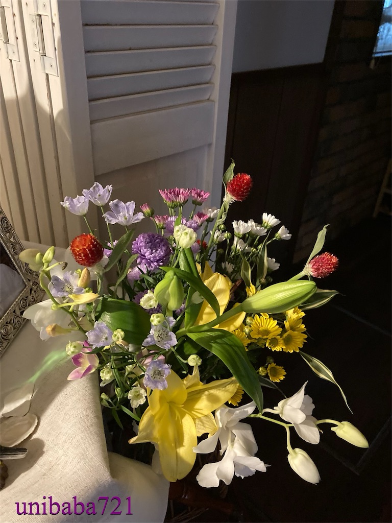 f:id:unibaba721:20221126210520j:image f:id:unibaba721:20221126210520j:image