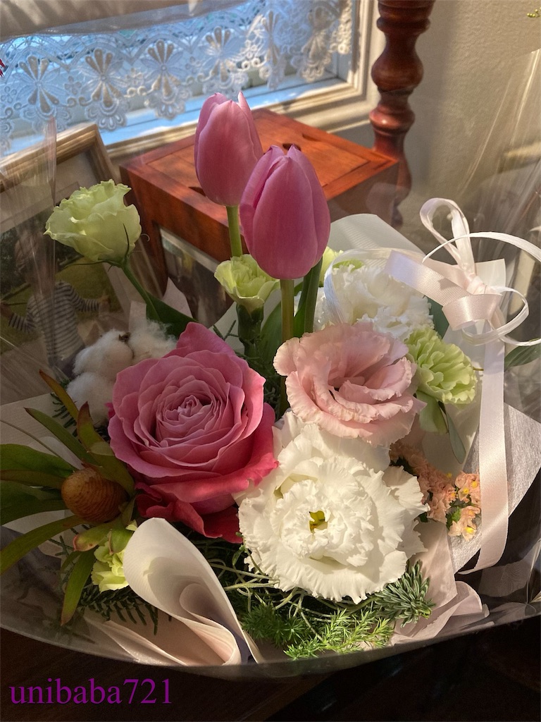 f:id:unibaba721:20221126210529j:image f:id:unibaba721:20221126210529j:image