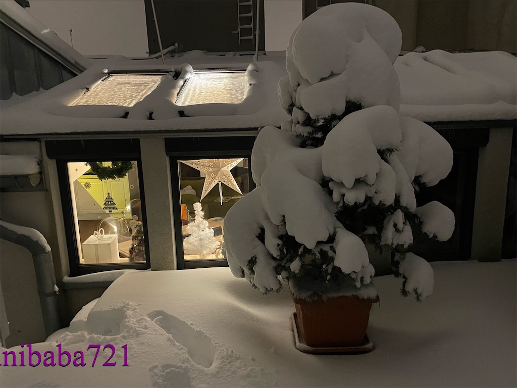 f:id:unibaba721:20221214100829j:image f:id:unibaba721:20221214100829j:image