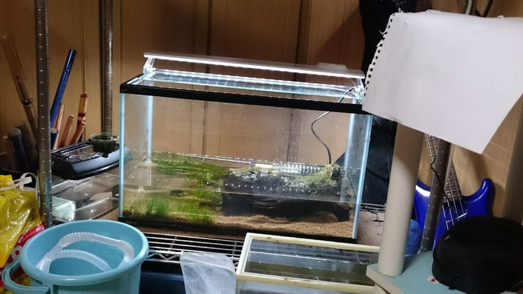 f:id:unibirth1:20180802001034j:plain f:id:unibirth1:20180802001034j:plain