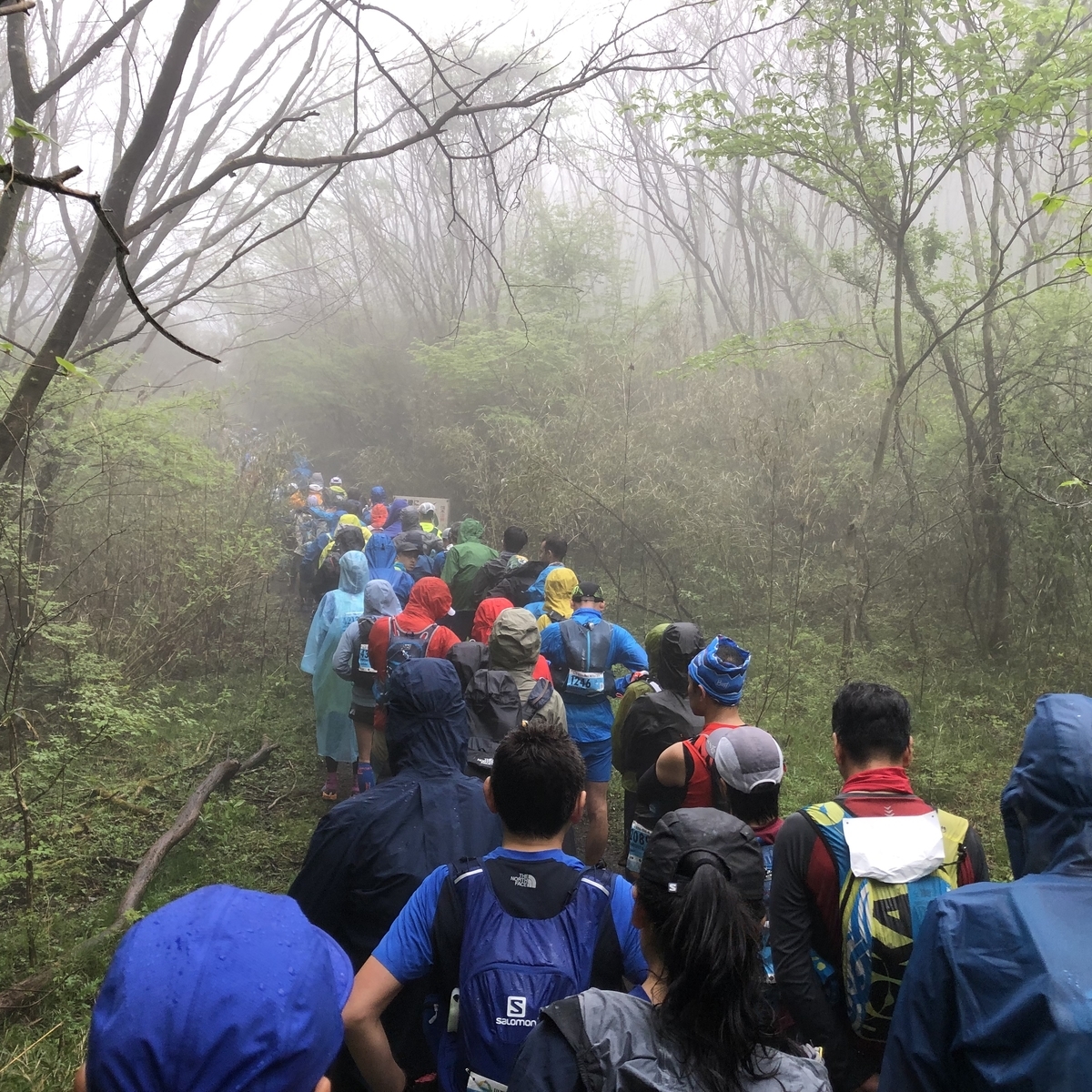 f:id:uniblog:20190506215525j:plain