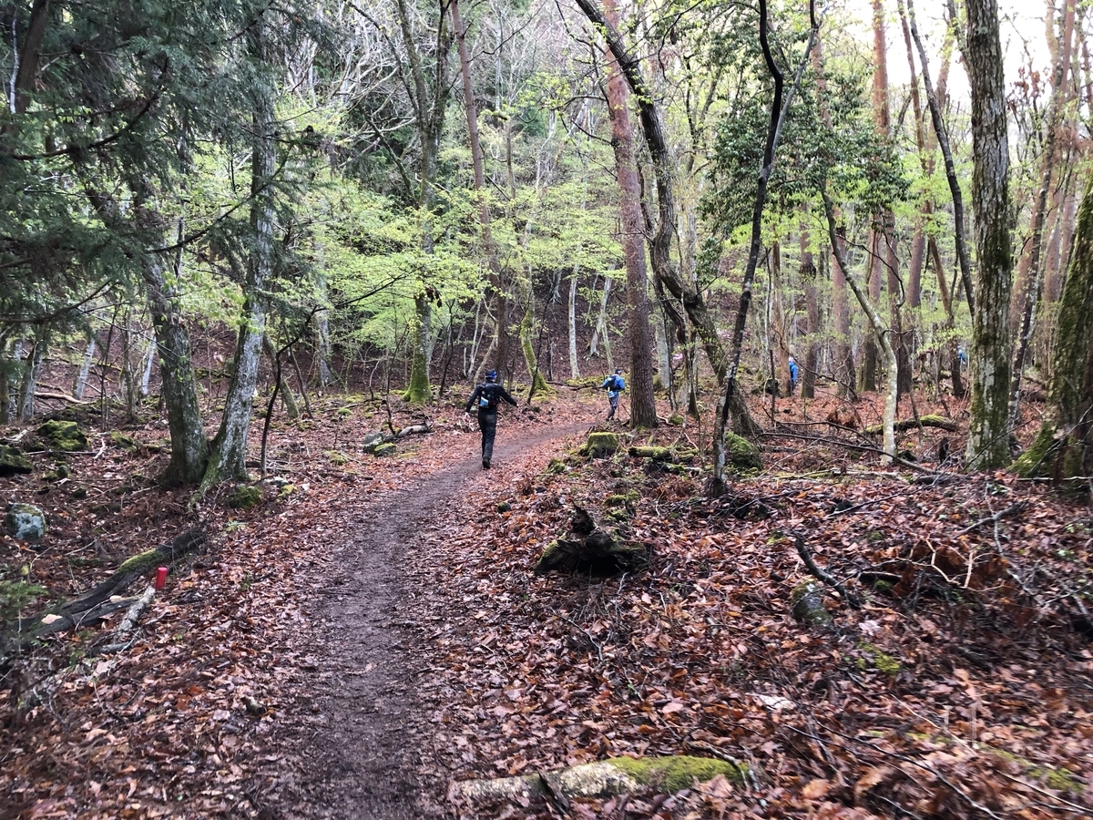 f:id:uniblog:20190506215832j:plain