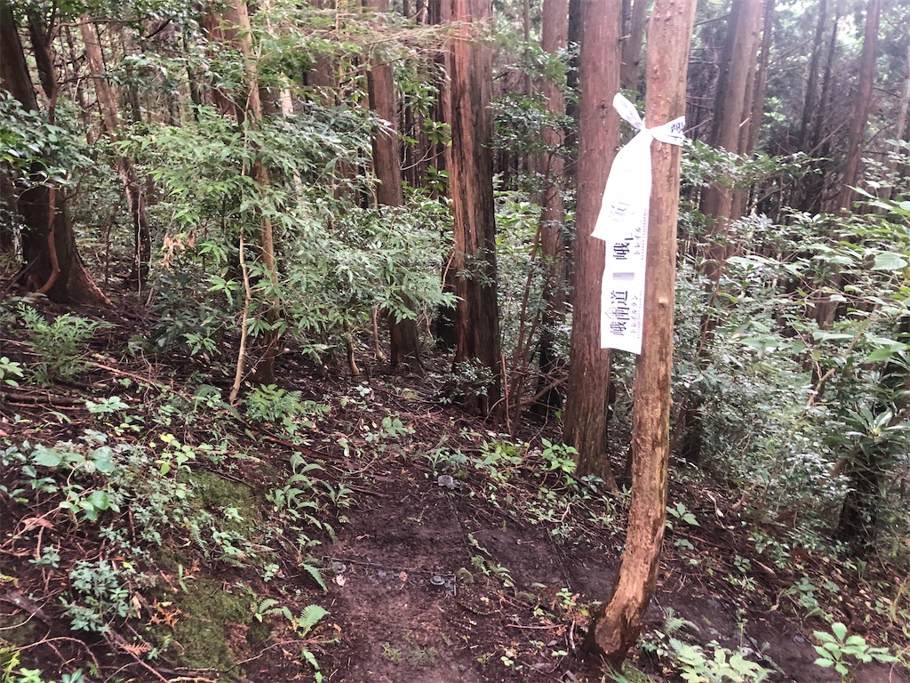 f:id:uniblog:20191030083603j:image