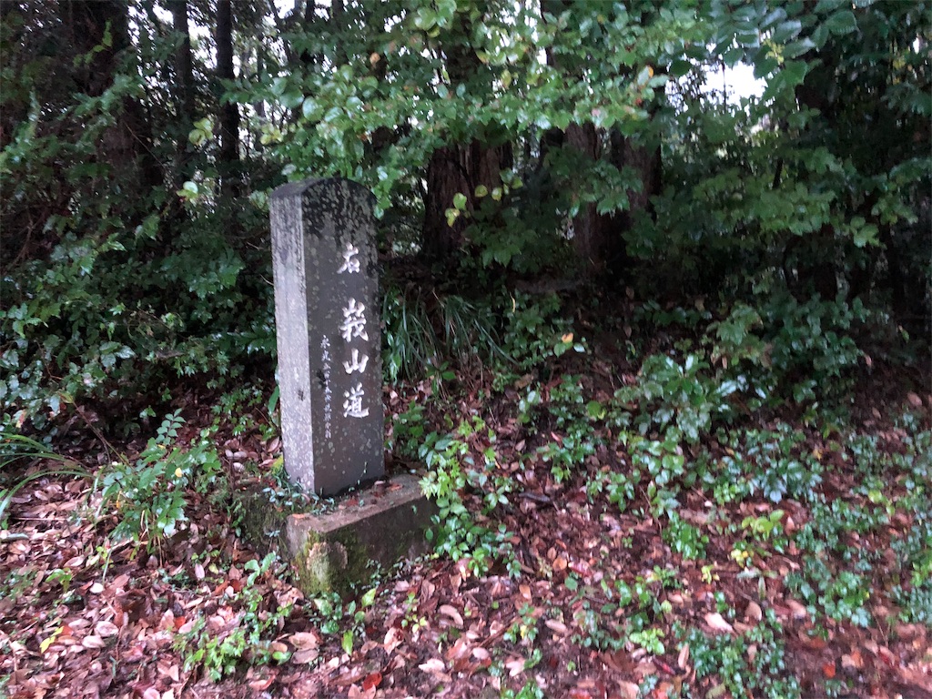 f:id:uniblog:20191030083606j:image