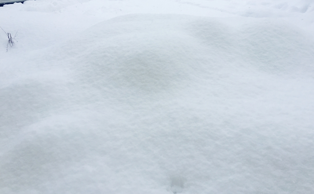 f:id:uniboy:20160203111947j:plain