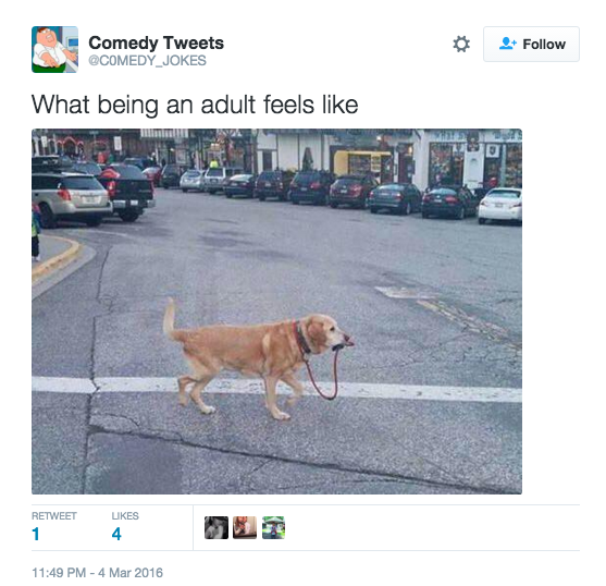 f:id:uniboy:20160314182521p:plain f:id:uniboy:20160314182521p:plain