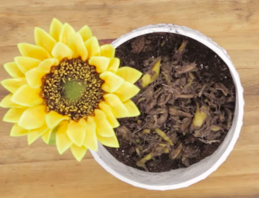 f:id:uniboy:20160320113815p:plain