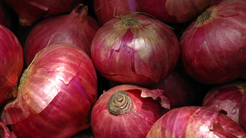 f:id:uniboy:20160701125045p:plain