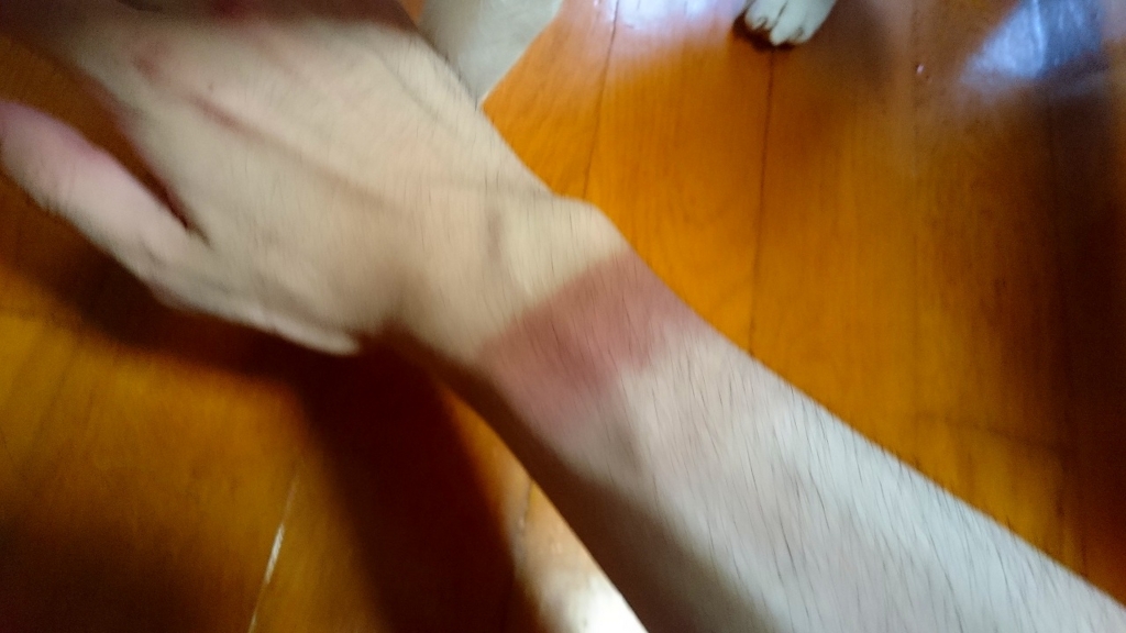 f:id:unico09:20160619224424j:plain