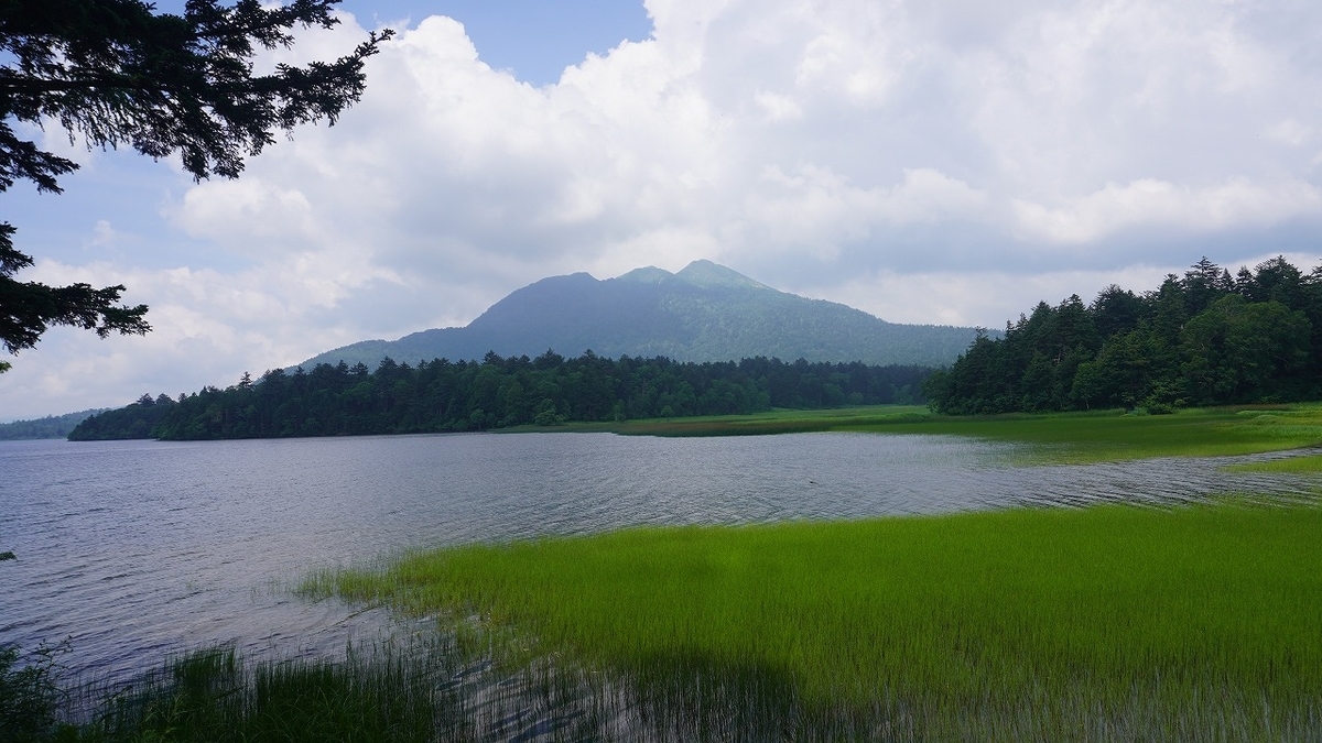 f:id:unico09:20200521212441j:plain f:id:unico09:20200521212441j:plain