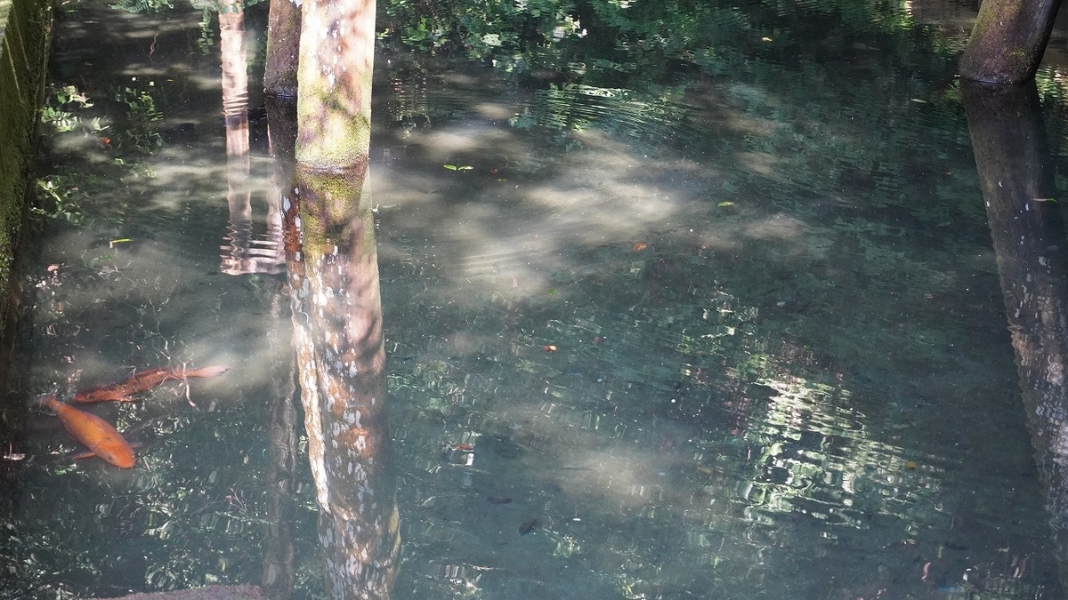 f:id:unico09:20200724215149j:plain