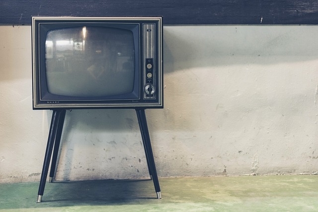 テレビ転倒防止 子供のいたずら防止にも最適だった耐震ポール