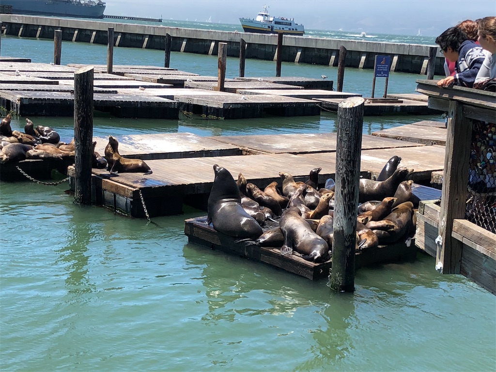 f:id:unicornx:20190713084035j:image