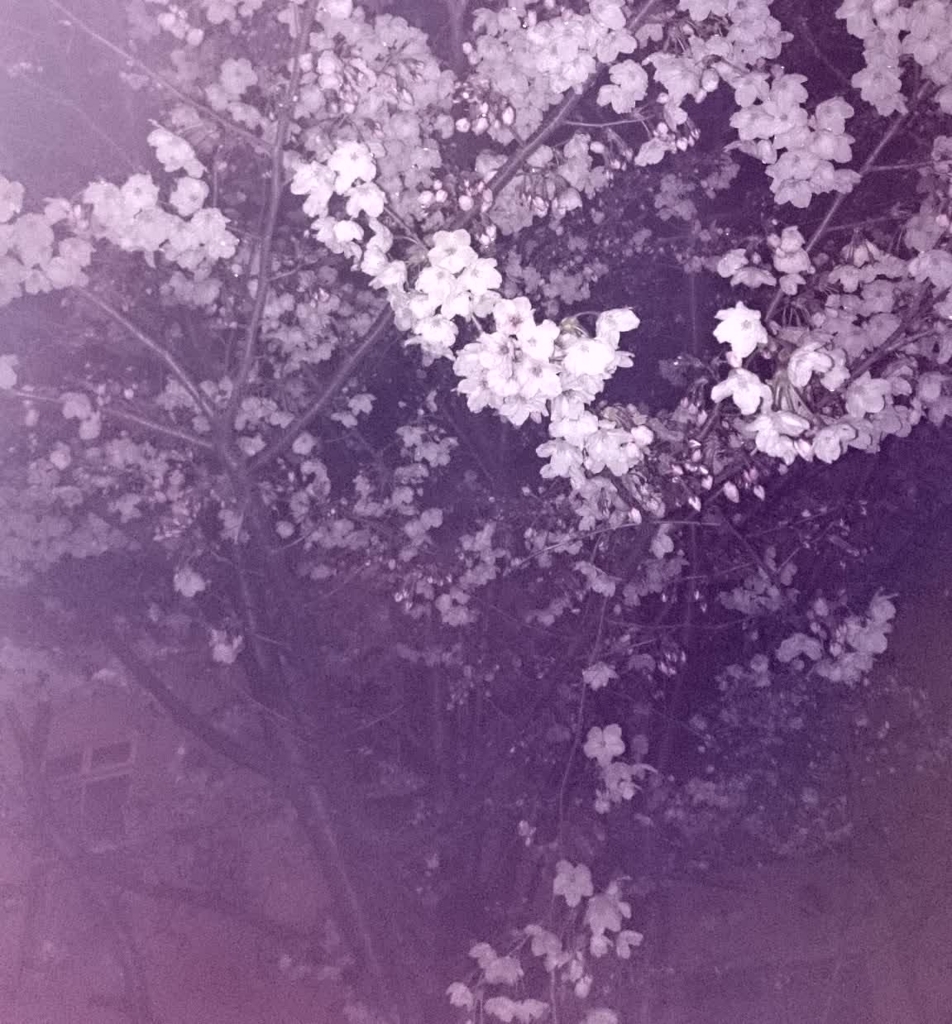 f:id:unifa_tech:20170904233650j:plain f:id:unifa_tech:20170904233650j:plain