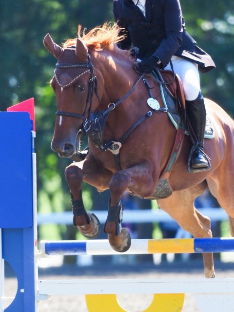 f:id:unifa_tech:20190124213022j:plain:w200:right