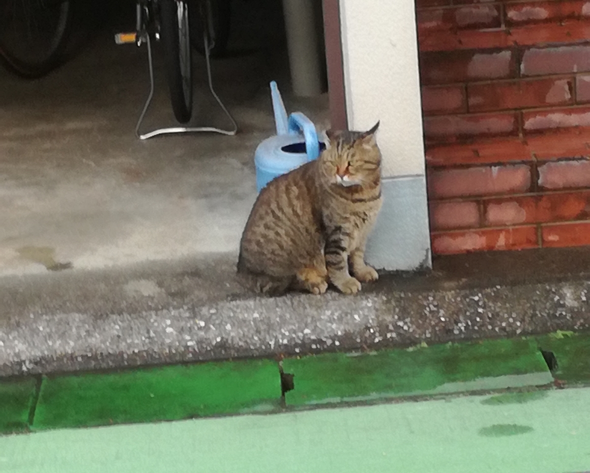 f:id:uninini:20201208193044j:plain:w400