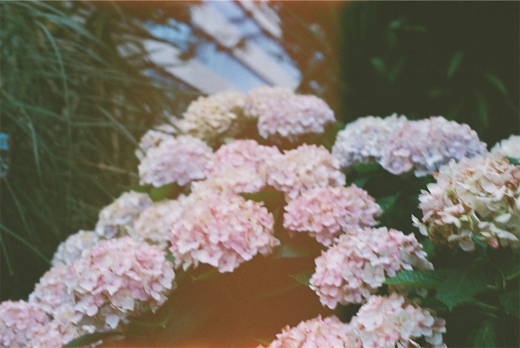 f:id:uninosushi:20210206201215j:image f:id:uninosushi:20210206201215j:image