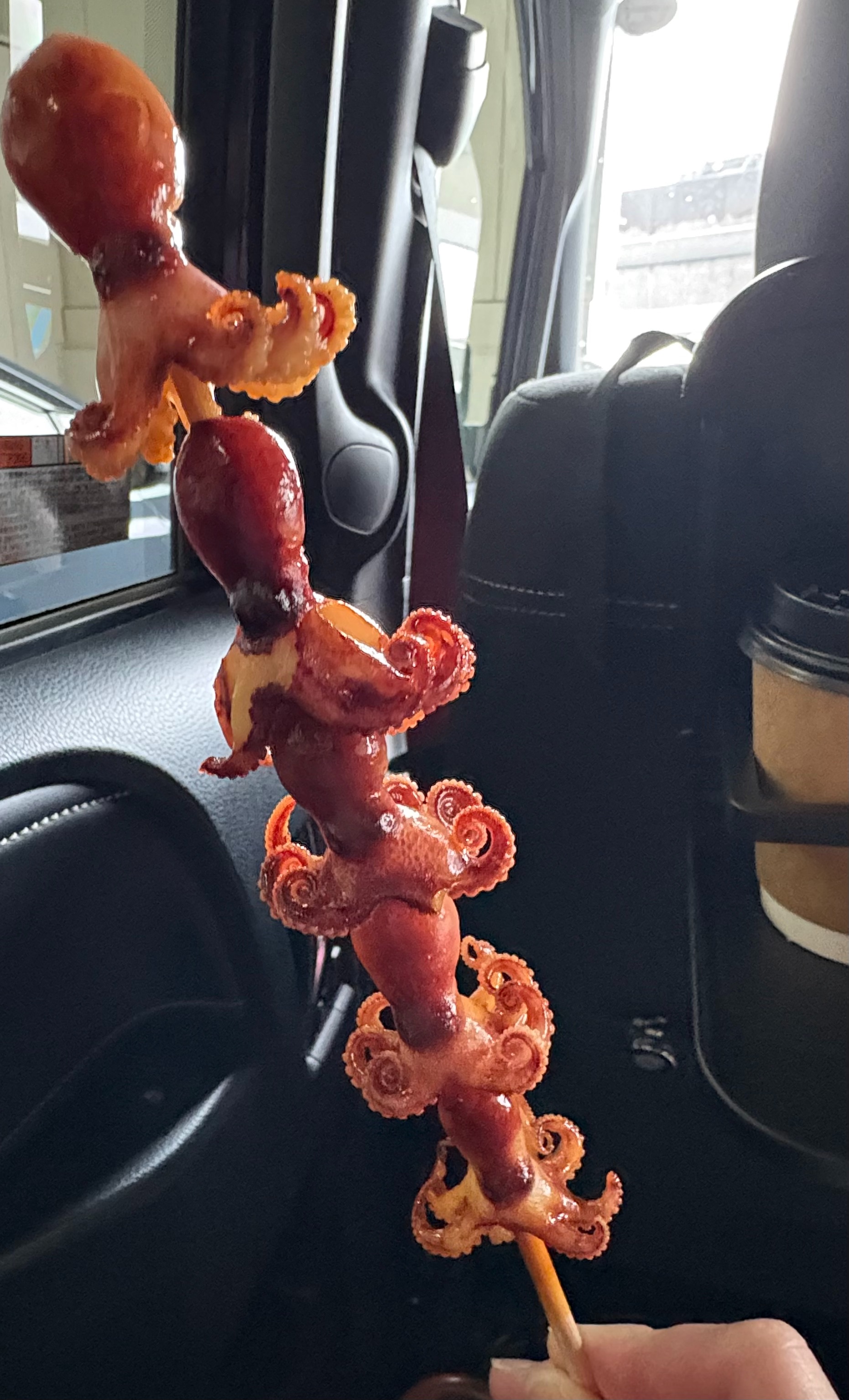 f:id:unipichan:20251230211010j:image