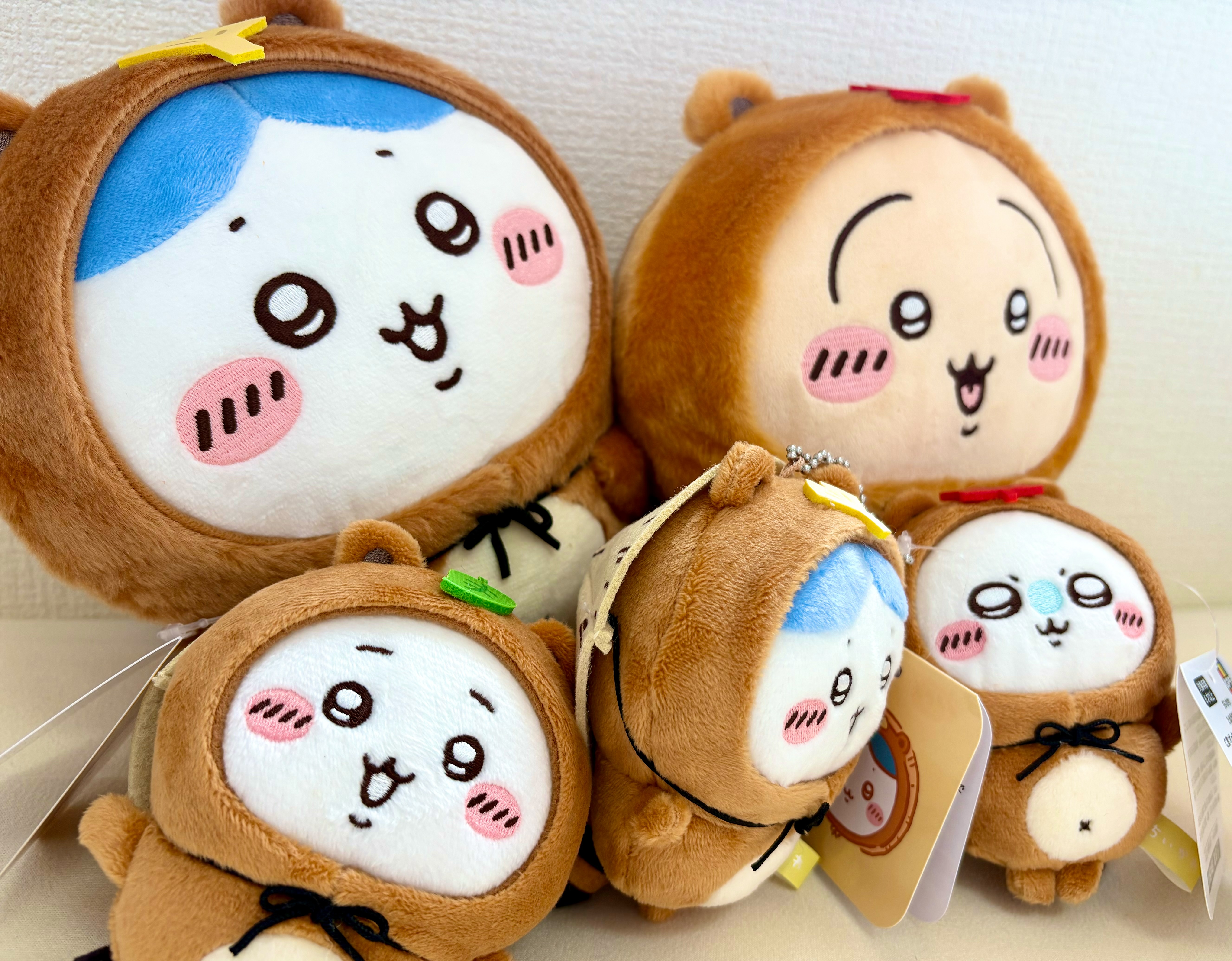 f:id:unipichan:20260217142458j:image