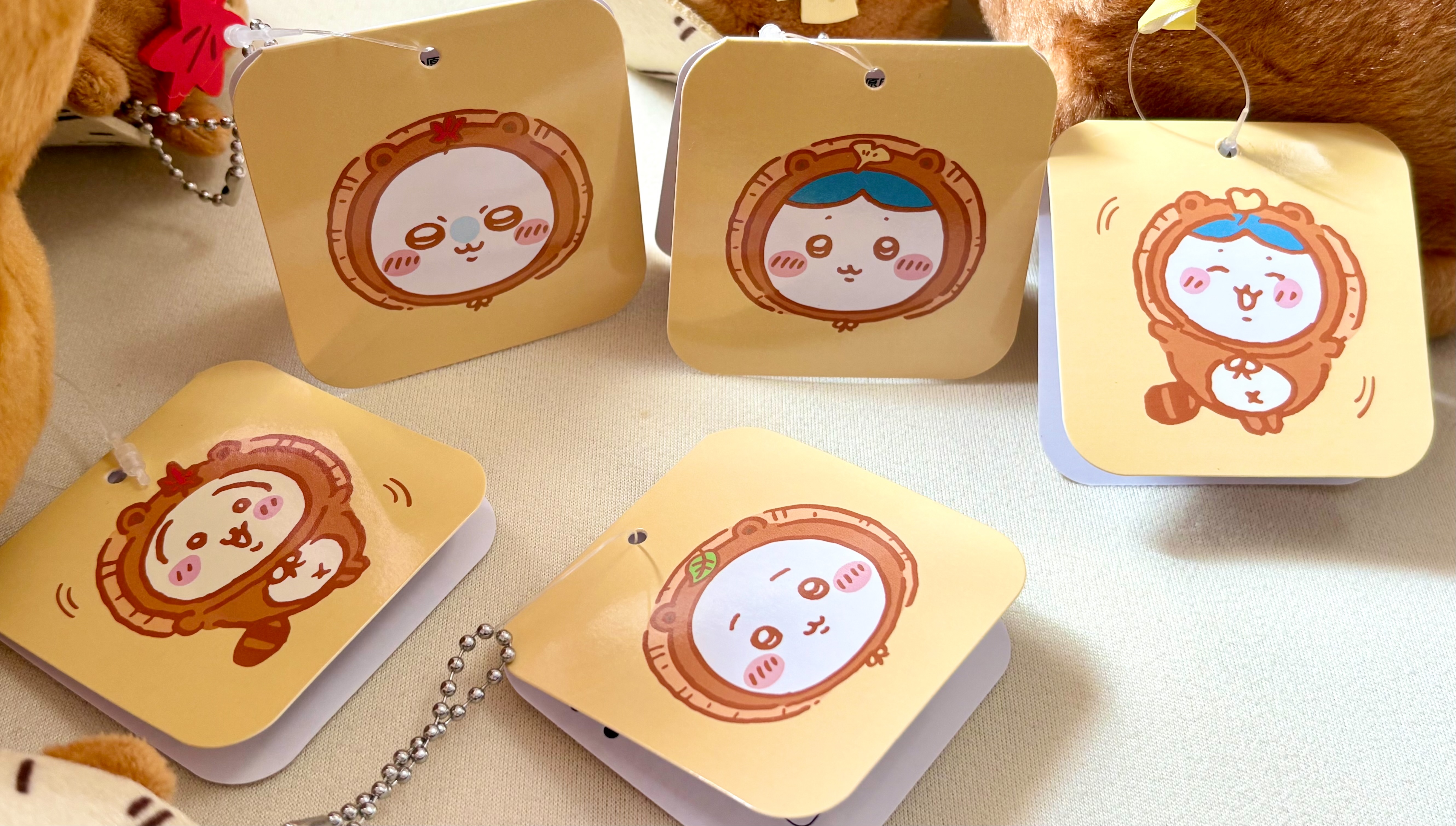 f:id:unipichan:20260217142506j:image