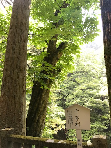 f:id:unitice:20190602202328j:image