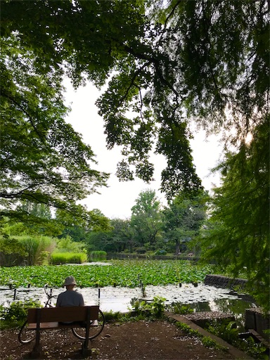 f:id:unitice:20190604125713j:image