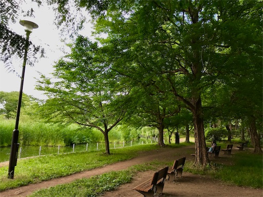 f:id:unitice:20190604131037j:image