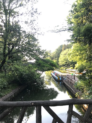 f:id:unitice:20190604134005j:image
