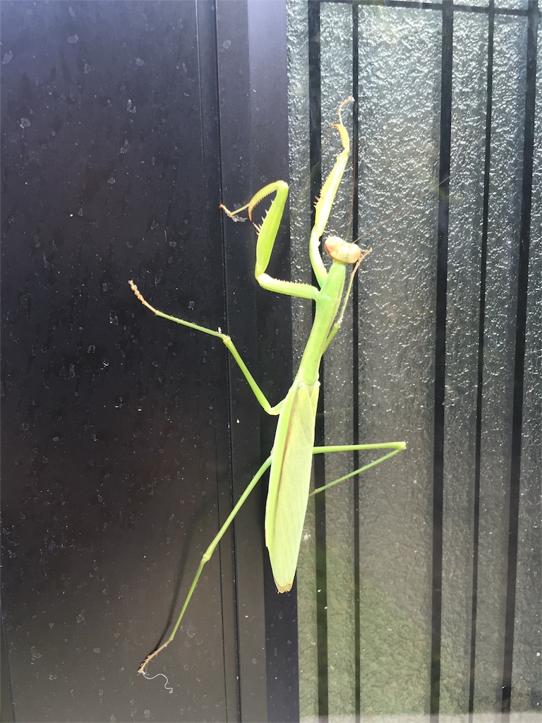 f:id:unitten:20160904201024j:image