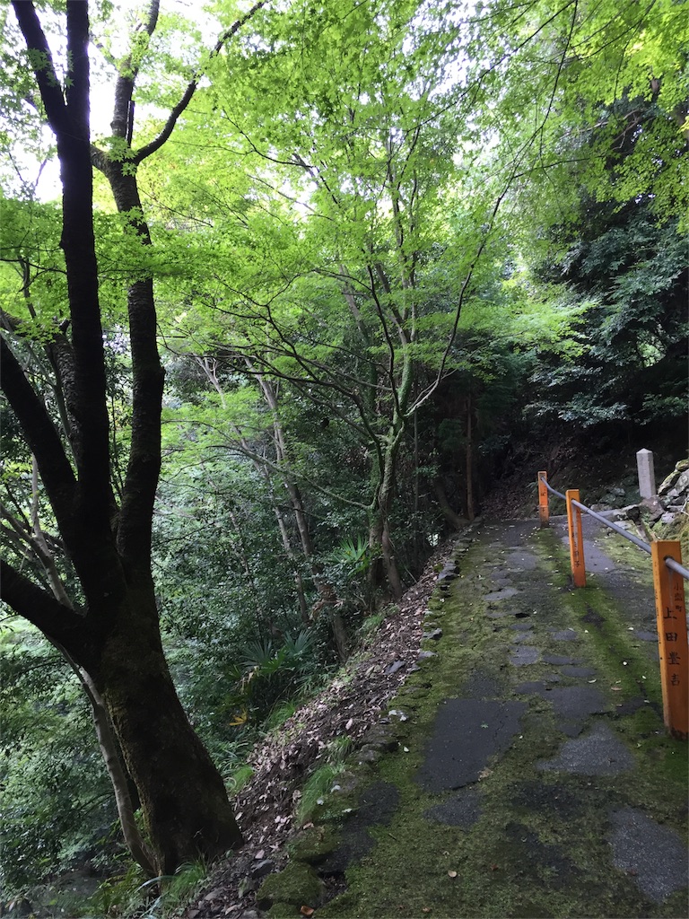 f:id:unitten:20160916201536j:image f:id:unitten:20160916201536j:image