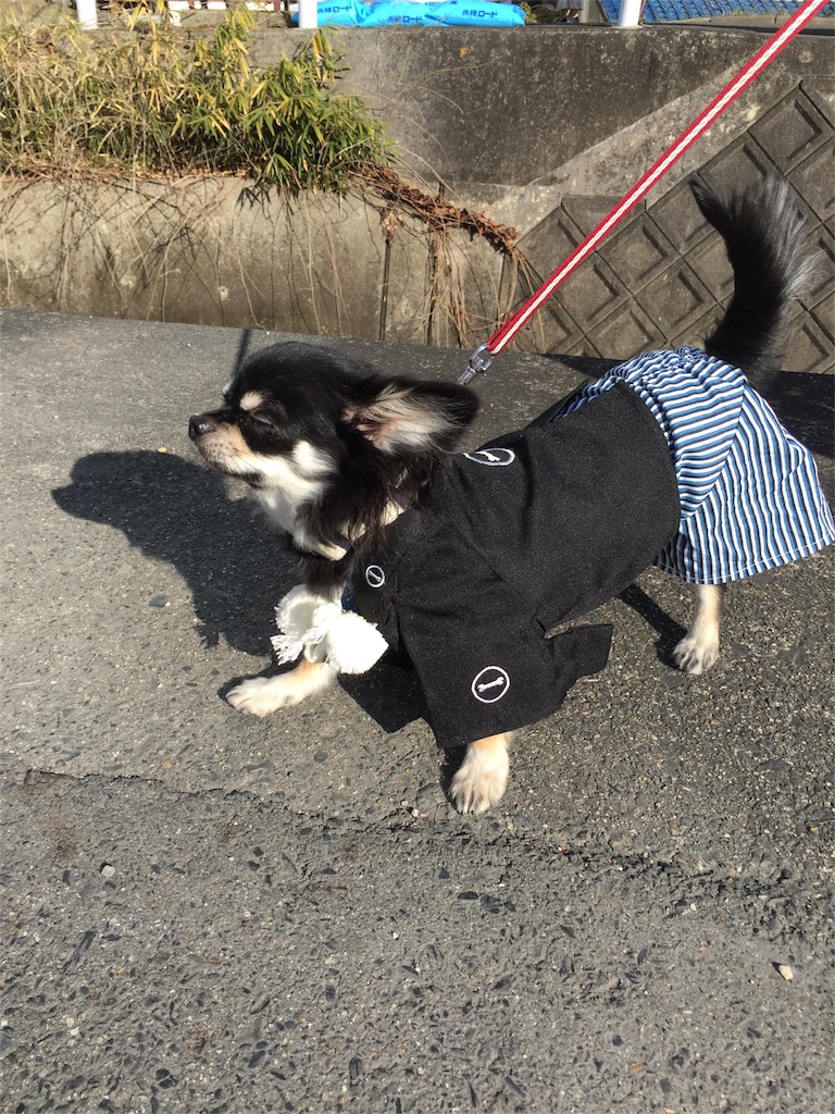 f:id:unitten:20170102074904j:image