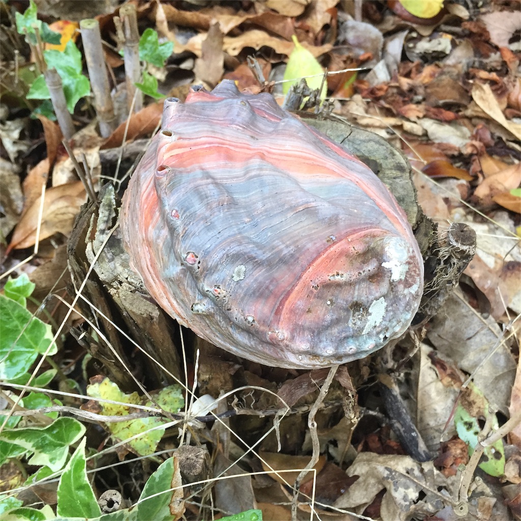 f:id:unitten:20170420215555j:image
