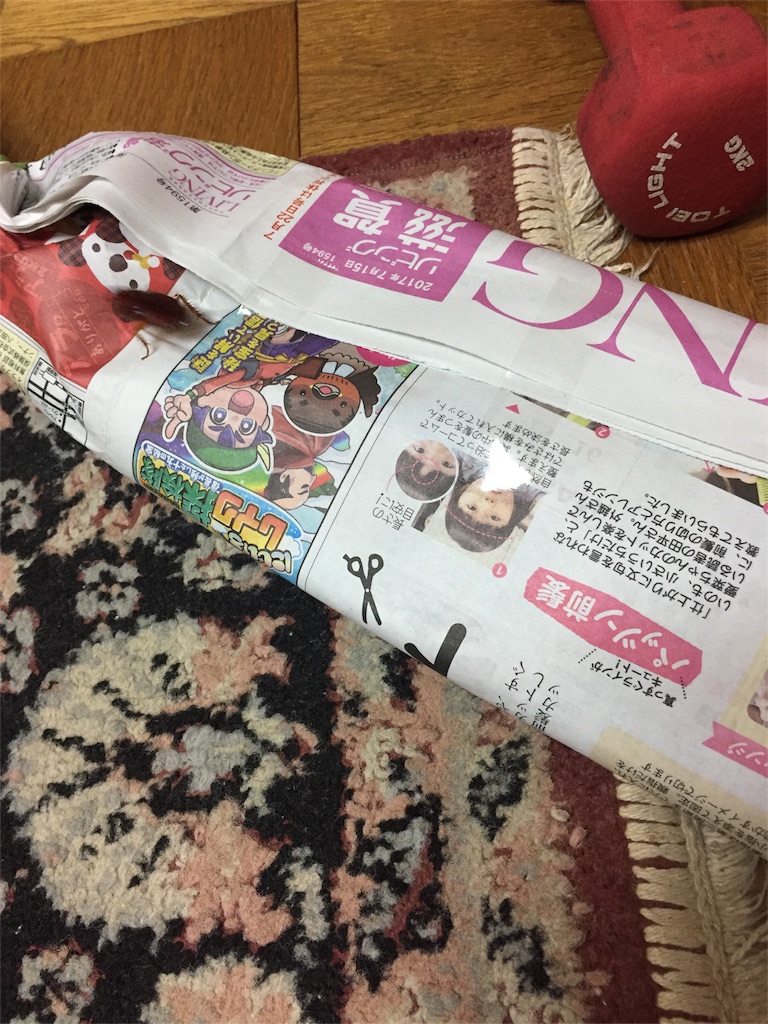 f:id:unitten:20170716215635j:image f:id:unitten:20170716215635j:image