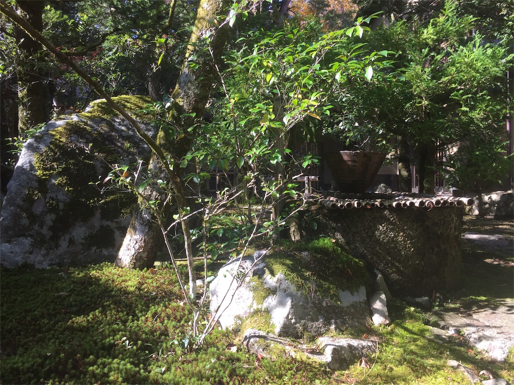 f:id:unitten:20171113203815j:image