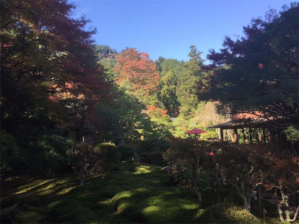 f:id:unitten:20171113203836j:image